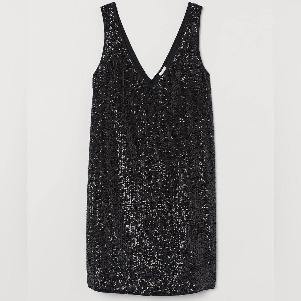 H&M Sequin Embroidered Mesh Mini Dress V Neck | Sequin Mini Dress | Large